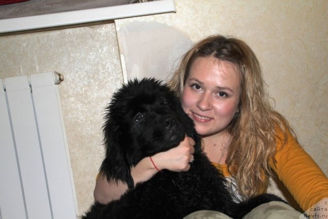 Фотография № 83192