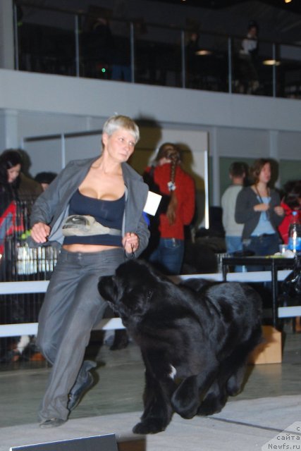 Фотография № 83200