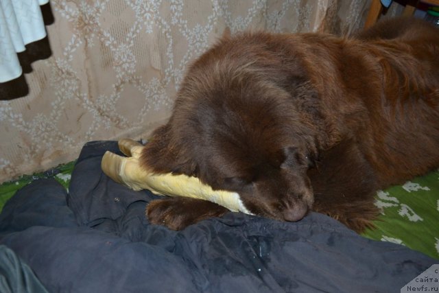 Фото: Nataliya Pashkina (Наталия Пашкина)