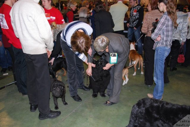 Фотография № 83218