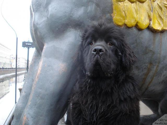 Фотография № 8322