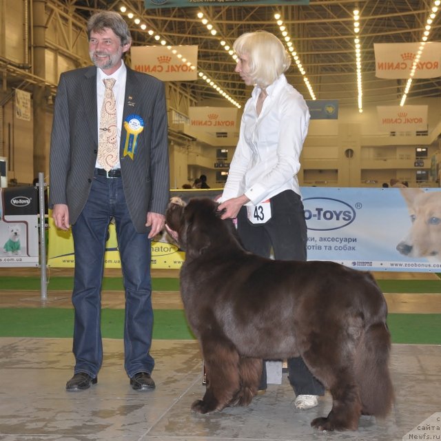 Фотография № 83260