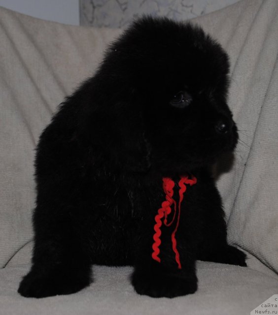 Фотография № 83286