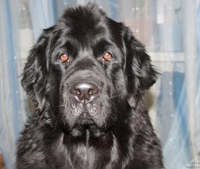 Фотография № 83364