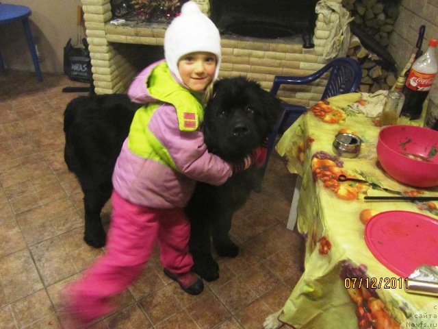 Фотография № 83391