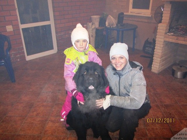 Фотография № 83392