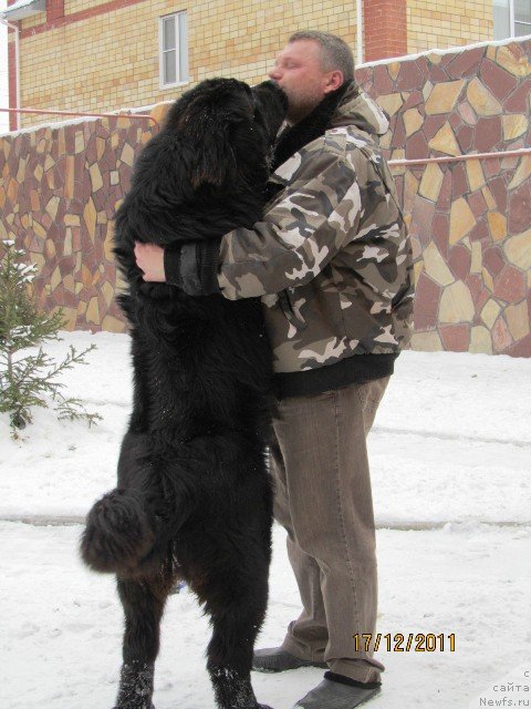 Фотография № 83394