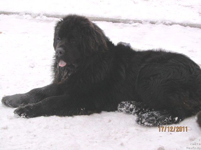 Фотография № 83395