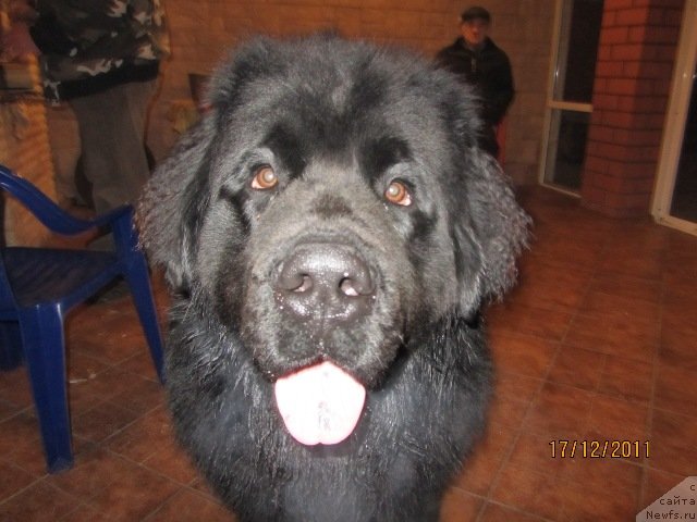 Фотография № 83396