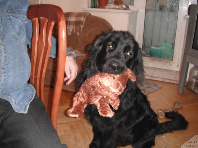 Фотография № 83398