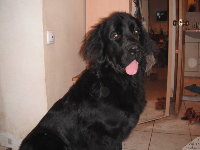 Фотография № 83399