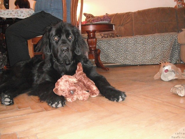 Фотография № 83402