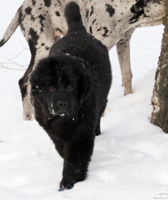 Фотография № 83462