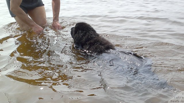 Фотография № 83493