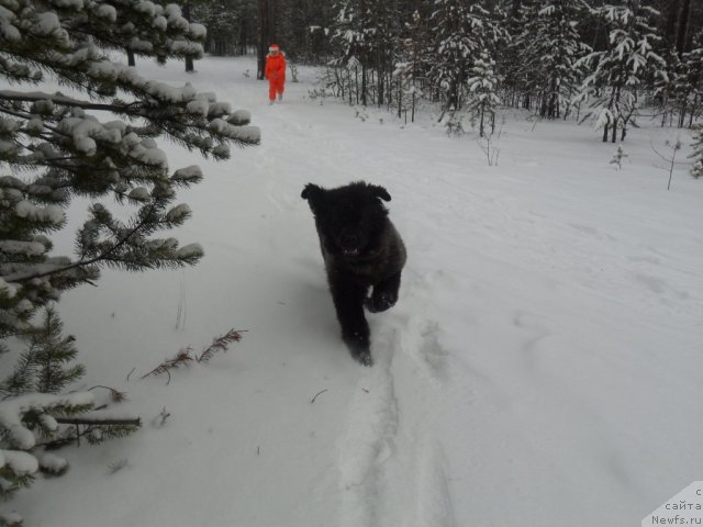 Фото: Омар Шериф