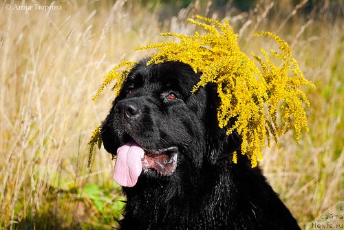 Фотография № 83566