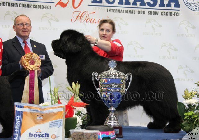 Фотография № 83610