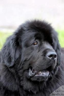 Фотография № 83617