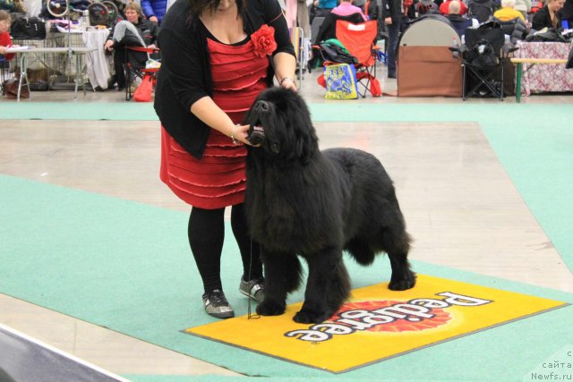 Фотография № 83625