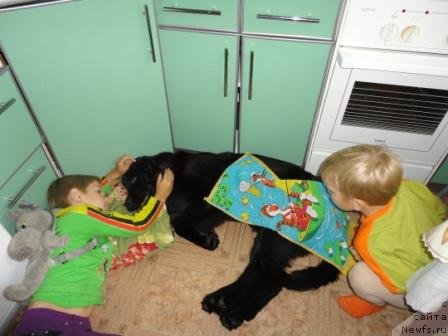 Фотография № 83634