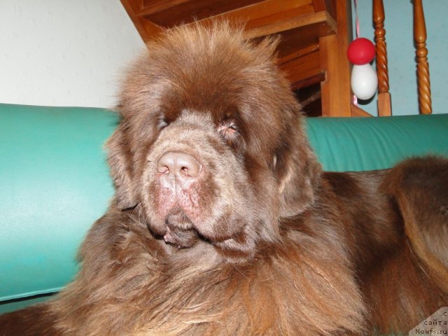 Фотография № 83655