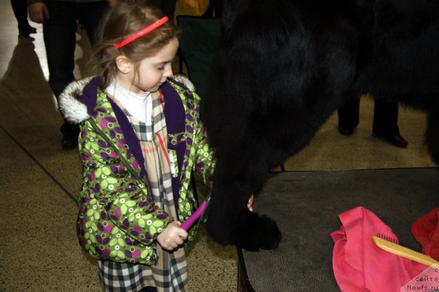 Фото: Танго и Эвелинка