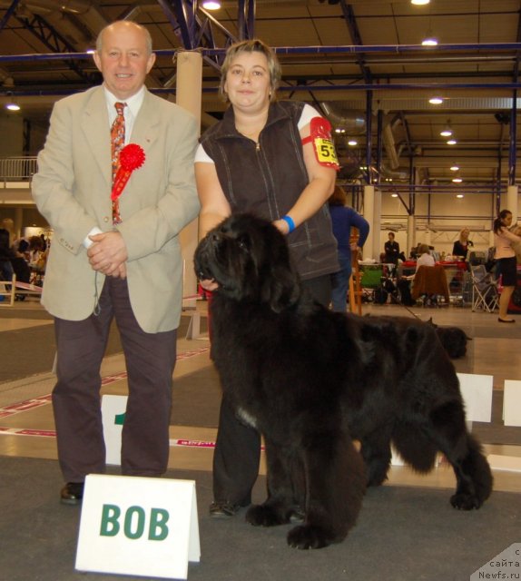 Фотография № 83677