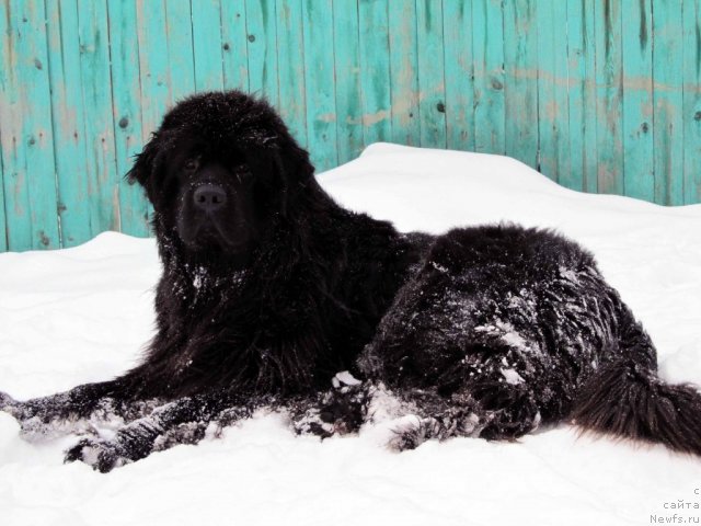 Фотография № 83686