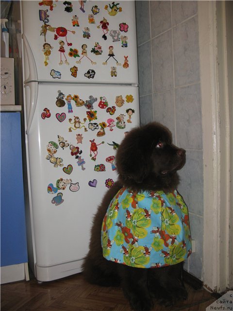 Фотография № 83687