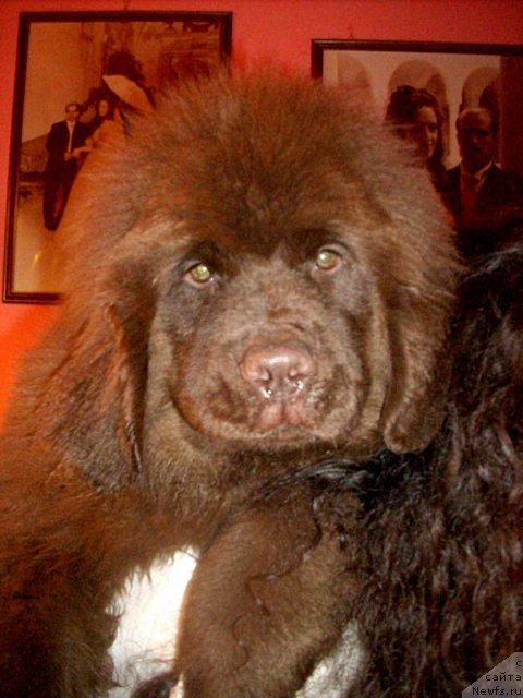 Фотография № 83691