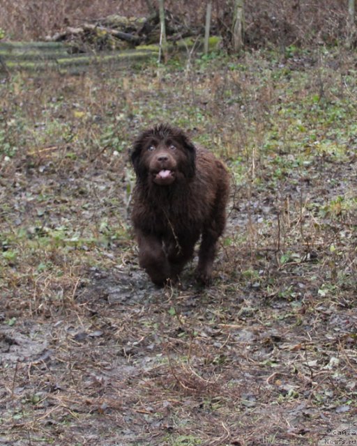 Фотография № 83693