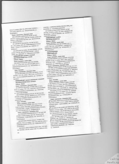 Фотография № 83760