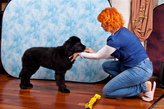 Фотография № 83787