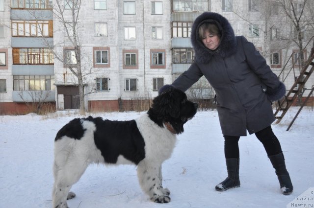 Фотография № 83831