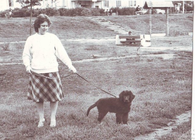 Фотография № 83834