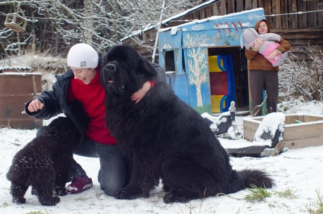 Фотография № 83866