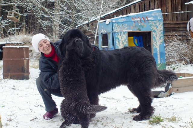 Фотография № 83868