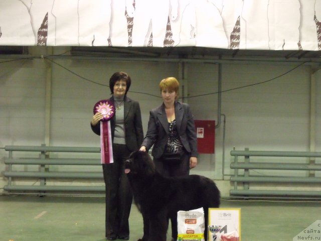 Фотография № 83902