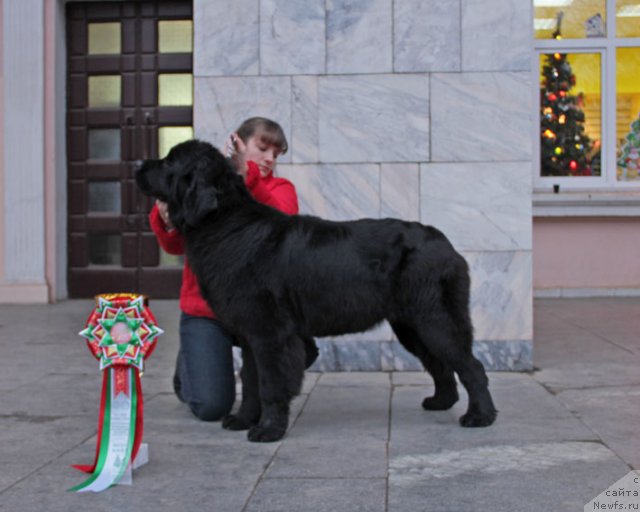 Фотография № 83932