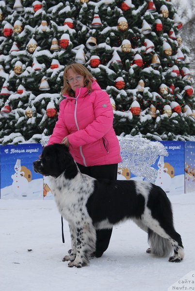 Фотография № 83946