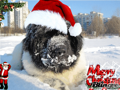 Фотография № 84038