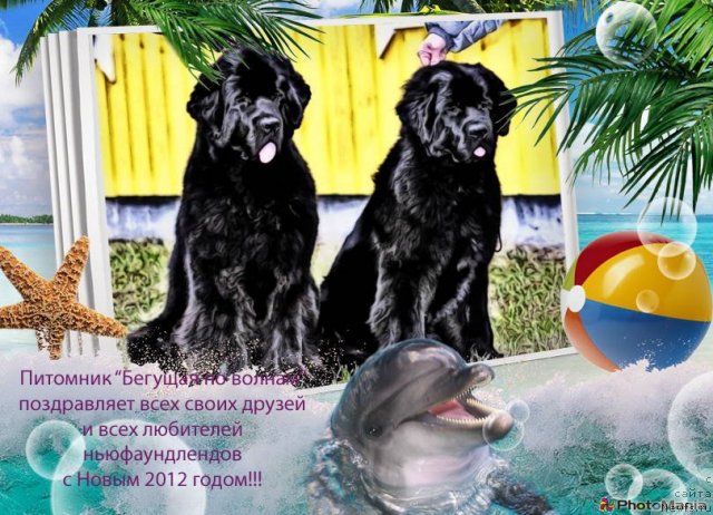 Фотография № 84079