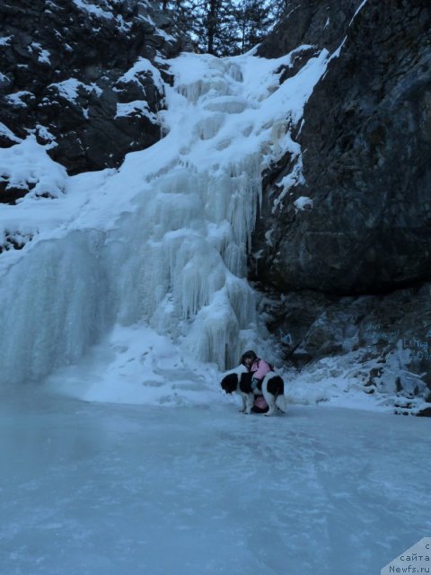 Фотография № 84081