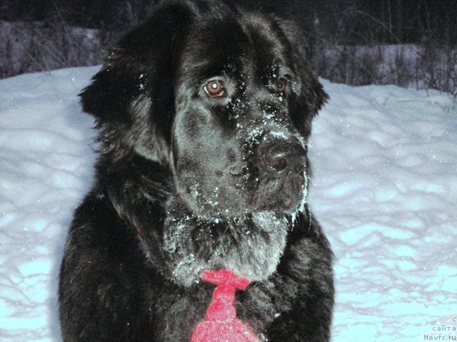 Фотография № 84089