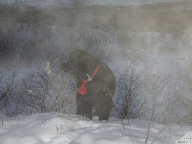 Фотография № 84092