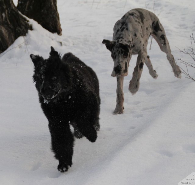 Фотография № 84105