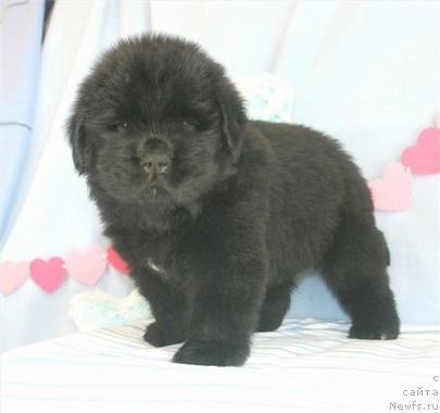 Фотография № 8412