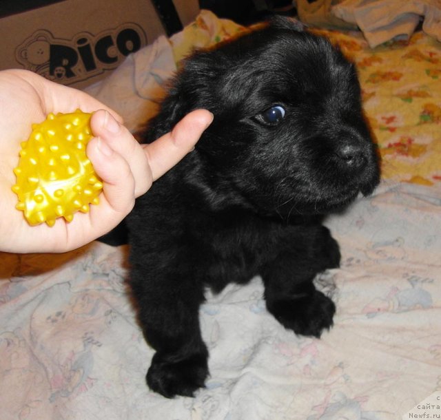 Фотография № 84121