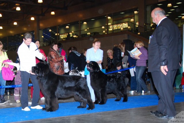 Фотография № 84125