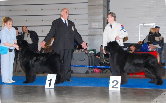 Фотография № 84127